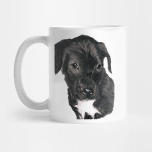 Shy black labrador pup... Mug